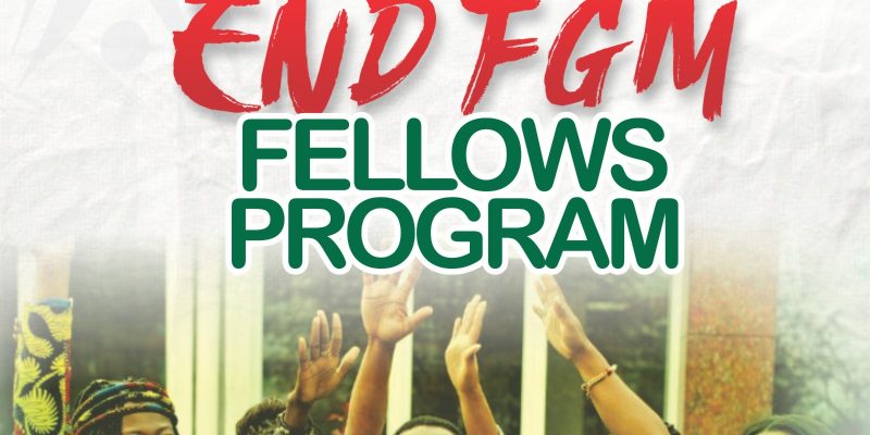 End FGM Fellows Program – Call for Interest